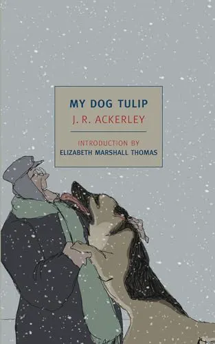 Cover of My Dog Tulip