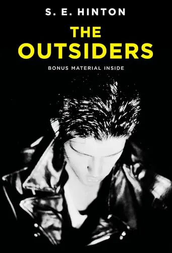 Cover of The Outsiders