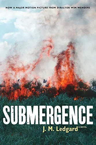 Cover of Submergence