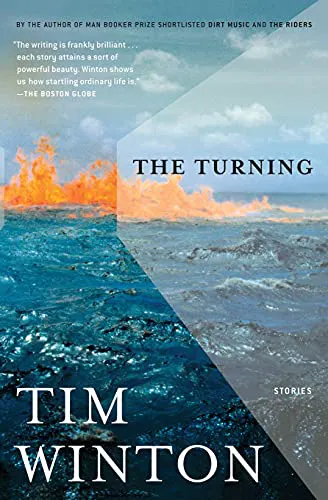Cover of The Turning
