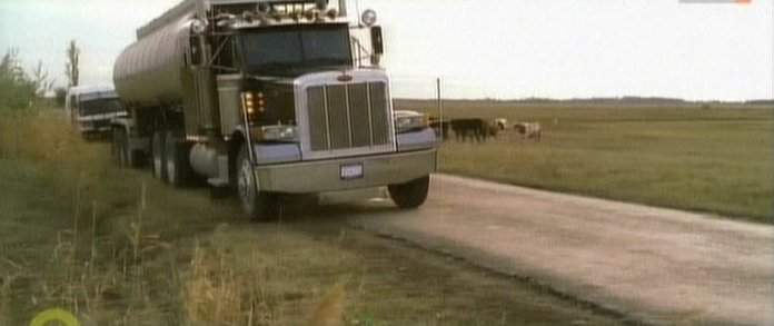 Peterbilt 379 in Argo