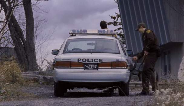 1995 Ford Crown Victoria in Stone Cold