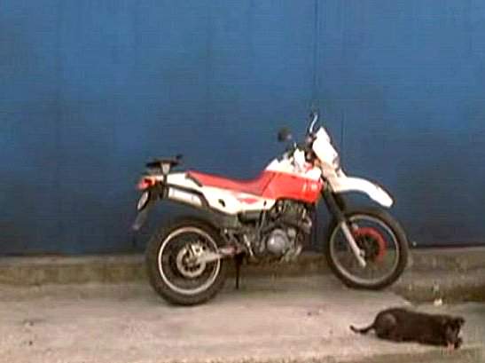 Yamaha XT 600 E