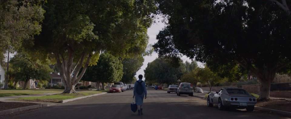 Chevrolet Corvette Stingray C3