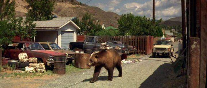 Chevrolet Chevelle Malibu