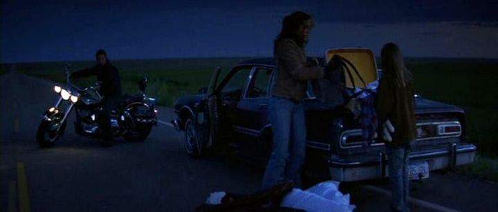 Harley-Davidson FLSTC