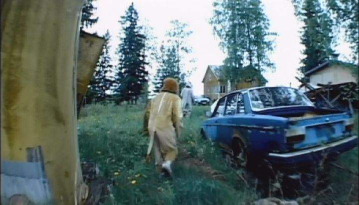 Volvo 244