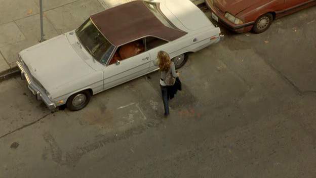 1974 Plymouth Valiant Scamp in The Dog Problem