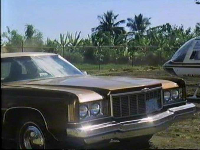 1975 Chevrolet Impala in Cop Target