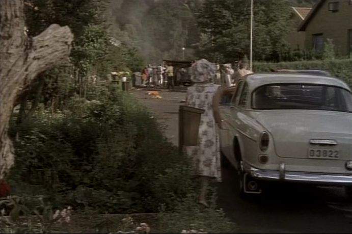 Volvo Amazon Favorit