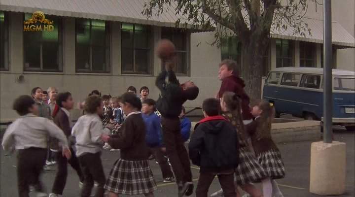 Volkswagen Station Wagon T2