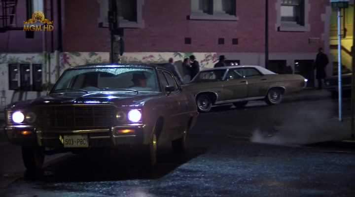 AMC Ambassador