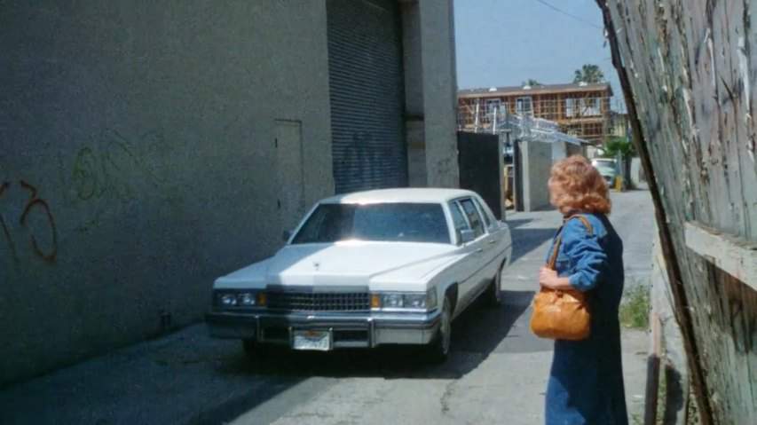 Cadillac Fleetwood Limousine