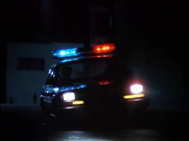 Dodge Diplomat