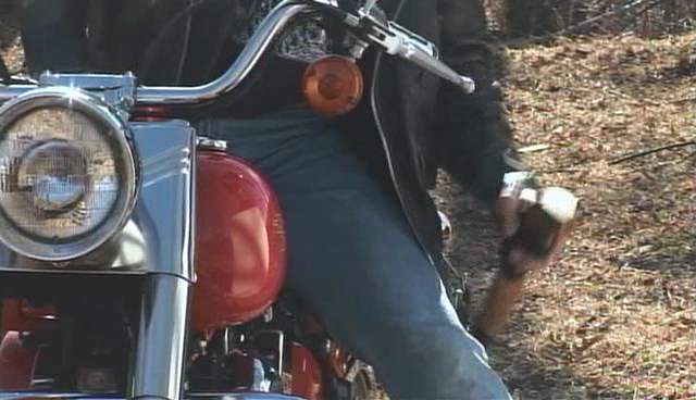 Harley-Davidson FLSTF Fat Boy