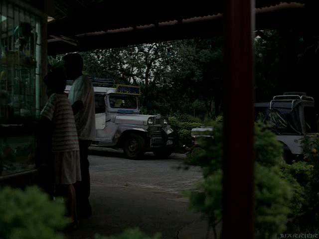 Custom Made 'Jeepney'