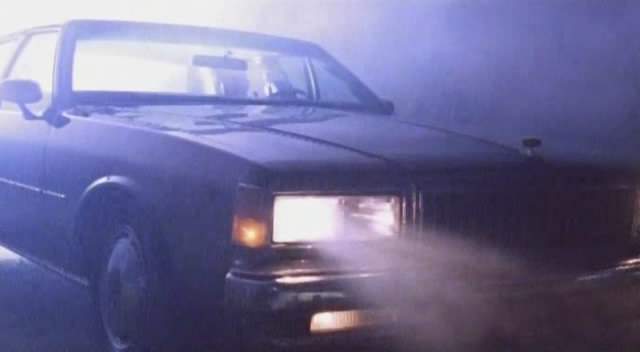 1987 Chevrolet Caprice in Voodoo Lagoon