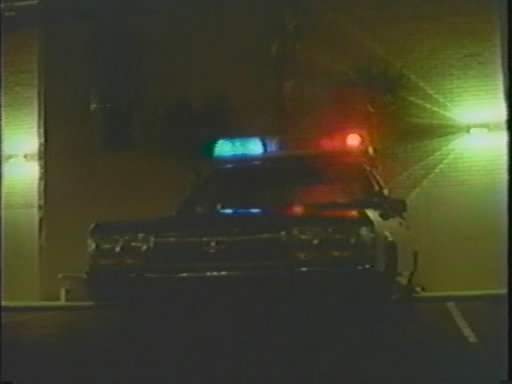 1988 Ford LTD Crown Victoria in Vampire Cop