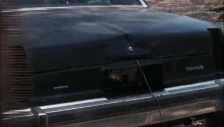 Oldsmobile Omega