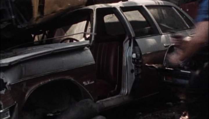 Oldsmobile Vista Cruiser