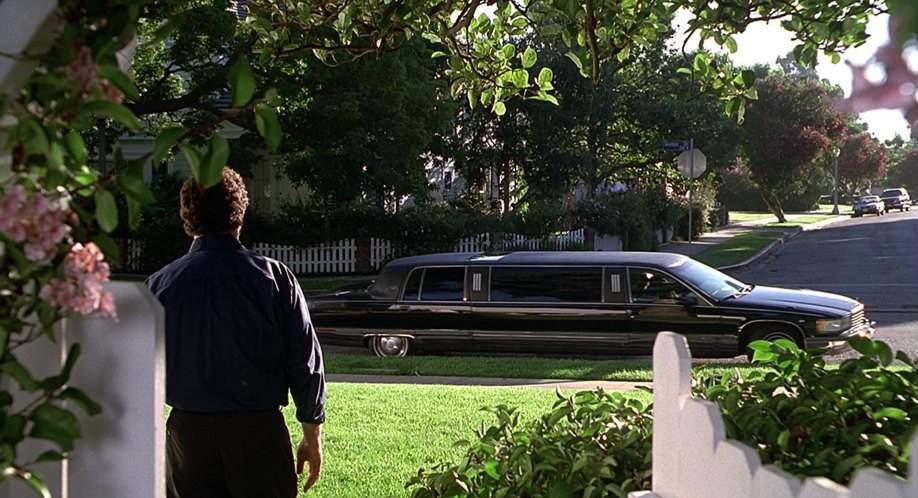 Cadillac Fleetwood Stretched Limousine