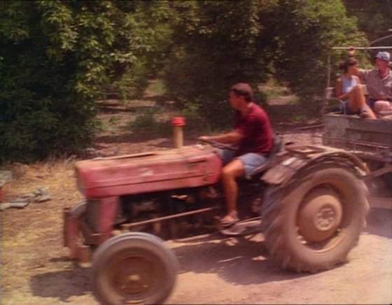 Massey Ferguson 135