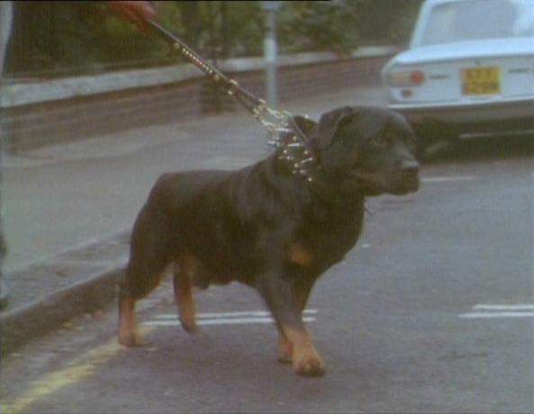 Lancia Fulvia Coupé S3