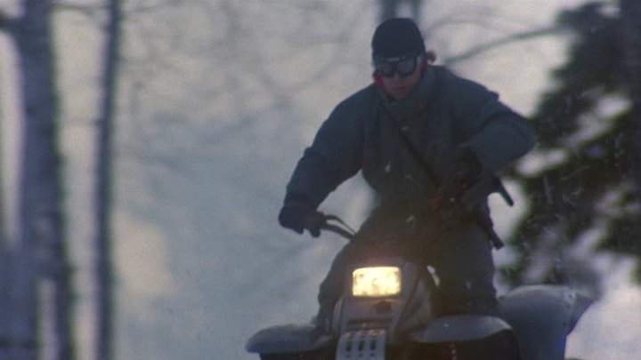 Honda Fourtrax 250 X