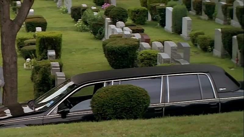 Cadillac Fleetwood Stretched Limousine