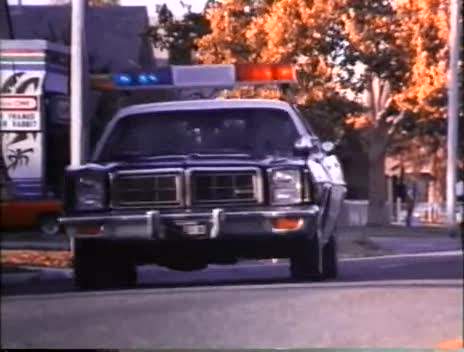Dodge Monaco