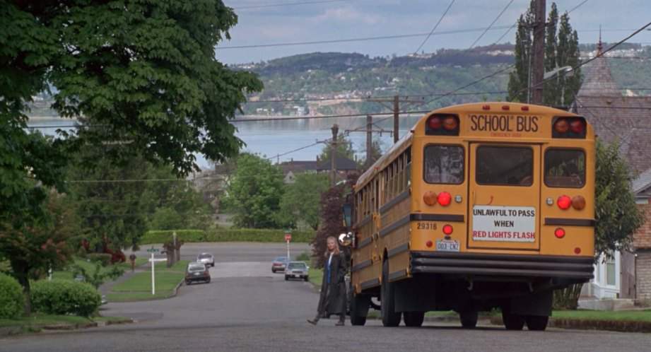 International S-Series Schoolmaster