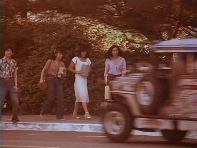 Custom Made 'Jeepney'