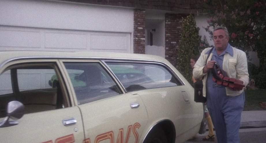 Dodge Monaco