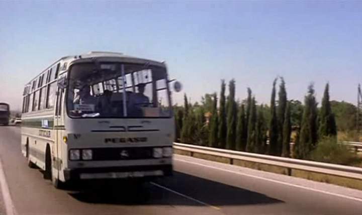 Pegaso 5031