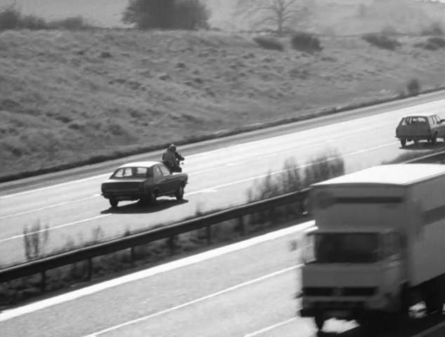 Leyland Terrier