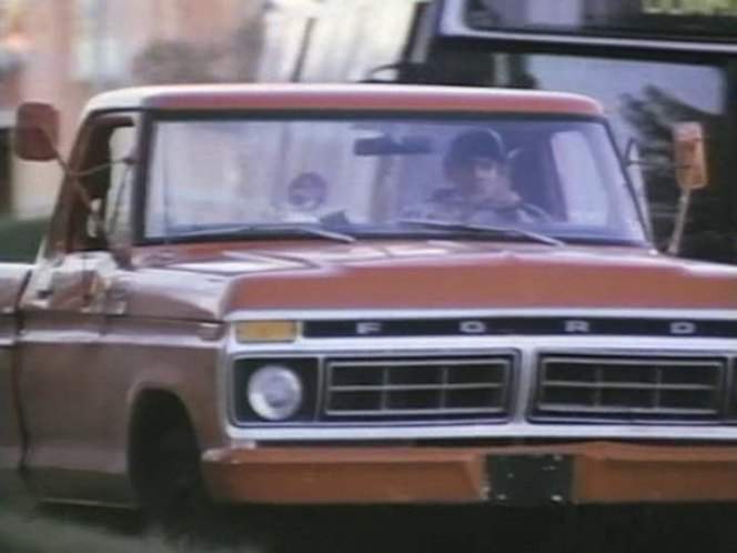 1977 Ford F-Series in Reborn