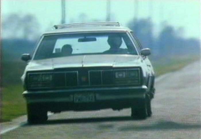 1979 Oldsmobile Custom Cruiser in Reborn