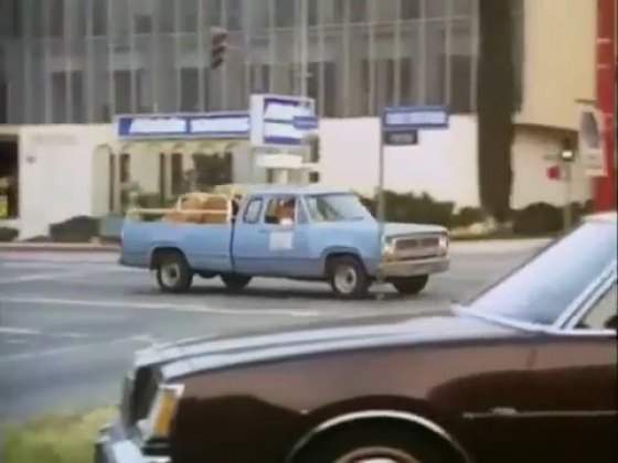 Dodge D-Series