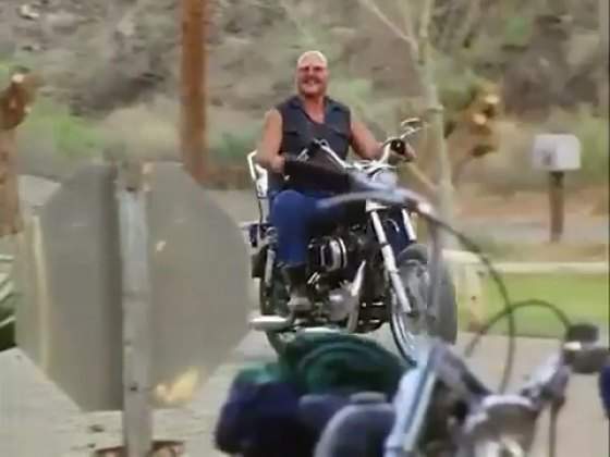 Harley-Davidson FX
