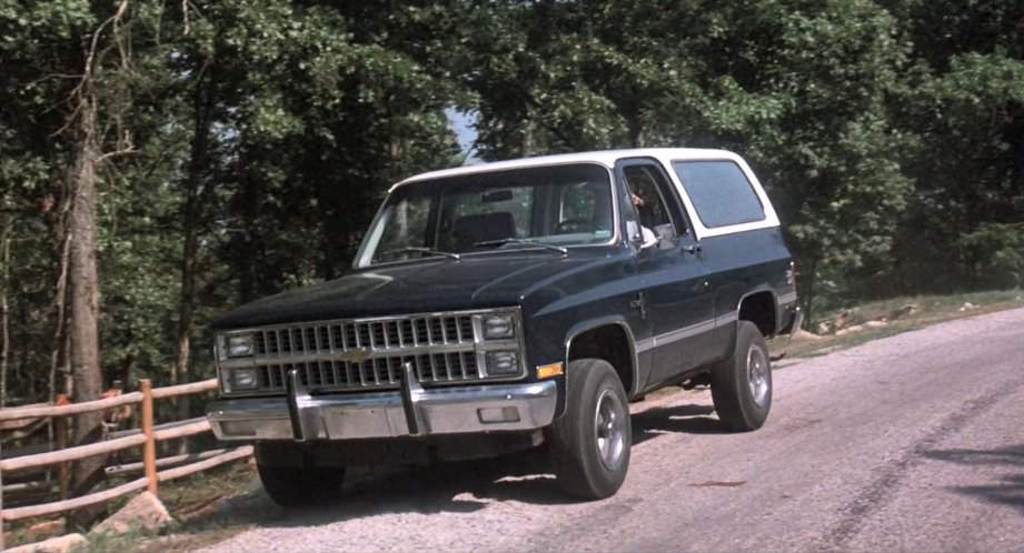 1981 Chevrolet Blazer in Foxfire Light