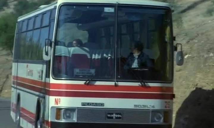 Pegaso 5031 L/4