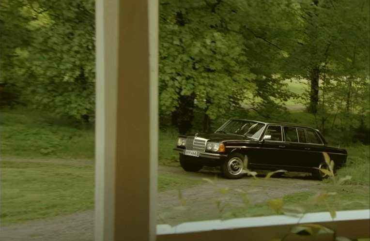 Mercedes-Benz 300 D Lang