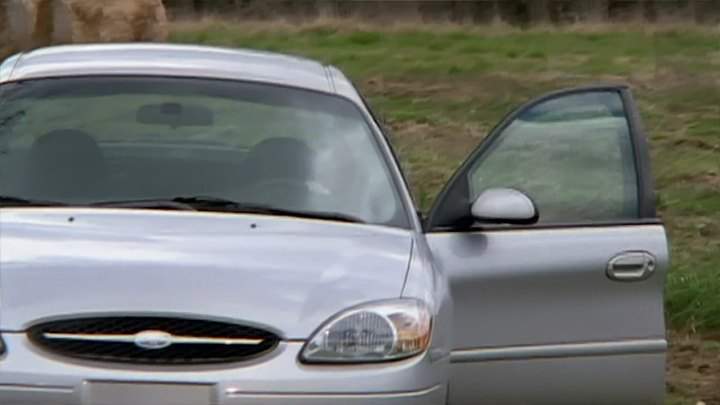 Ford Taurus