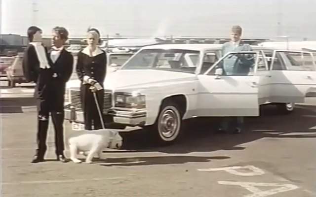 Cadillac Sedan DeVille Stretched Limousine