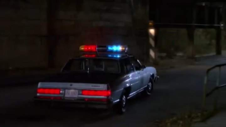 1984 Buick LeSabre in Meet the Applegates