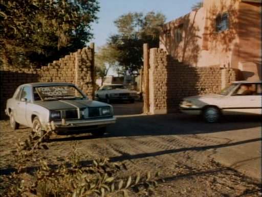 Oldsmobile Omega