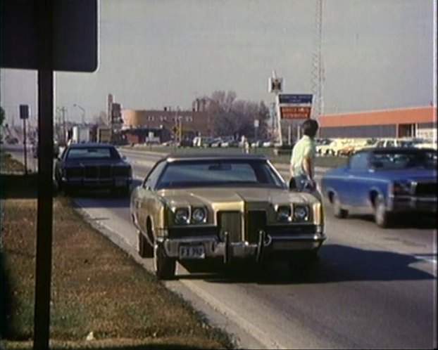 AMC Ambassador