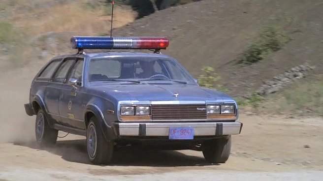 AMC Eagle