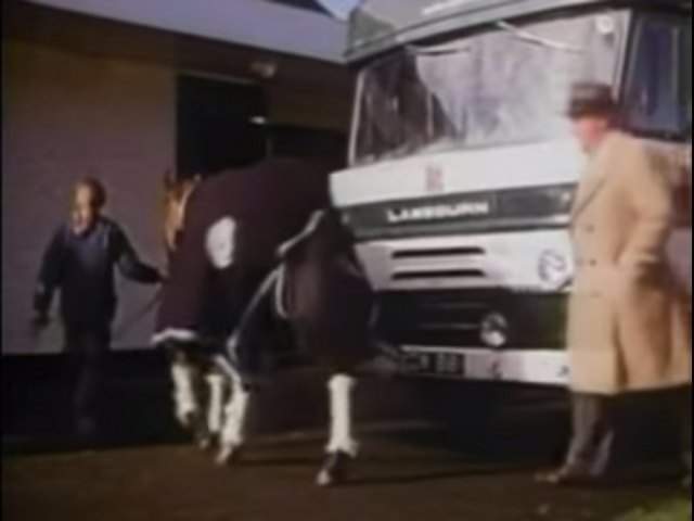 Bedford TK
