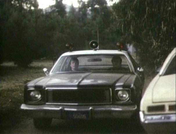 Plymouth Fury